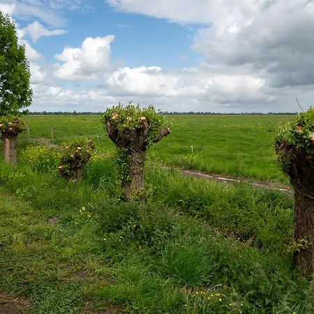 Bed & Breakfast Boerderij 