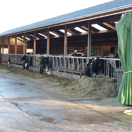 Bed & Breakfast Boerderij 
