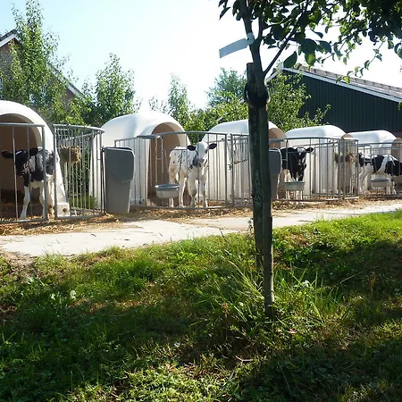 فندق مبيت وإفطار Boerderij 