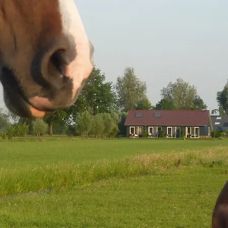 Boerderij 