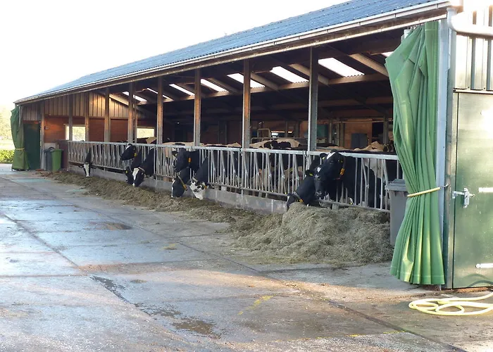 Bed & Breakfast Boerderij 