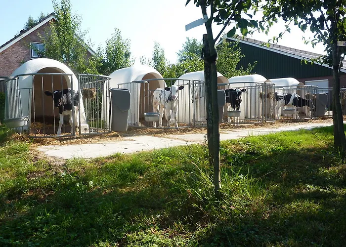 Bed and Breakfast Boerderij 