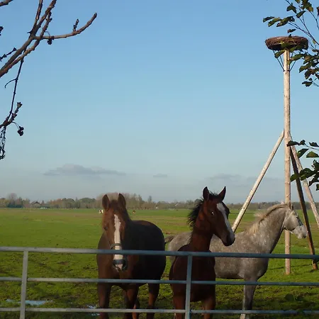 Boerderij 